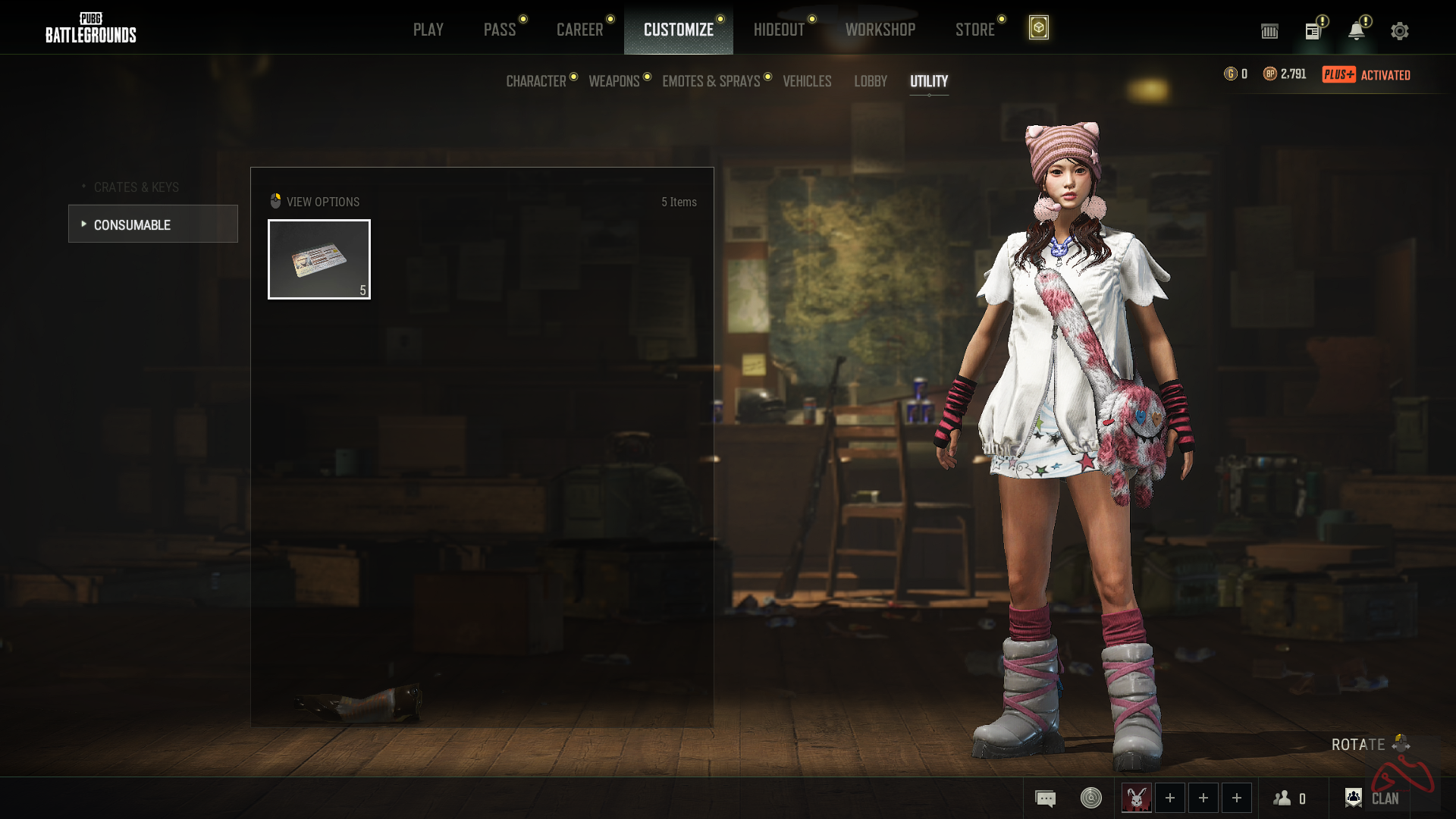 اکانت استیم 9 ساله پابجی پلاس 2 گان لول آپی