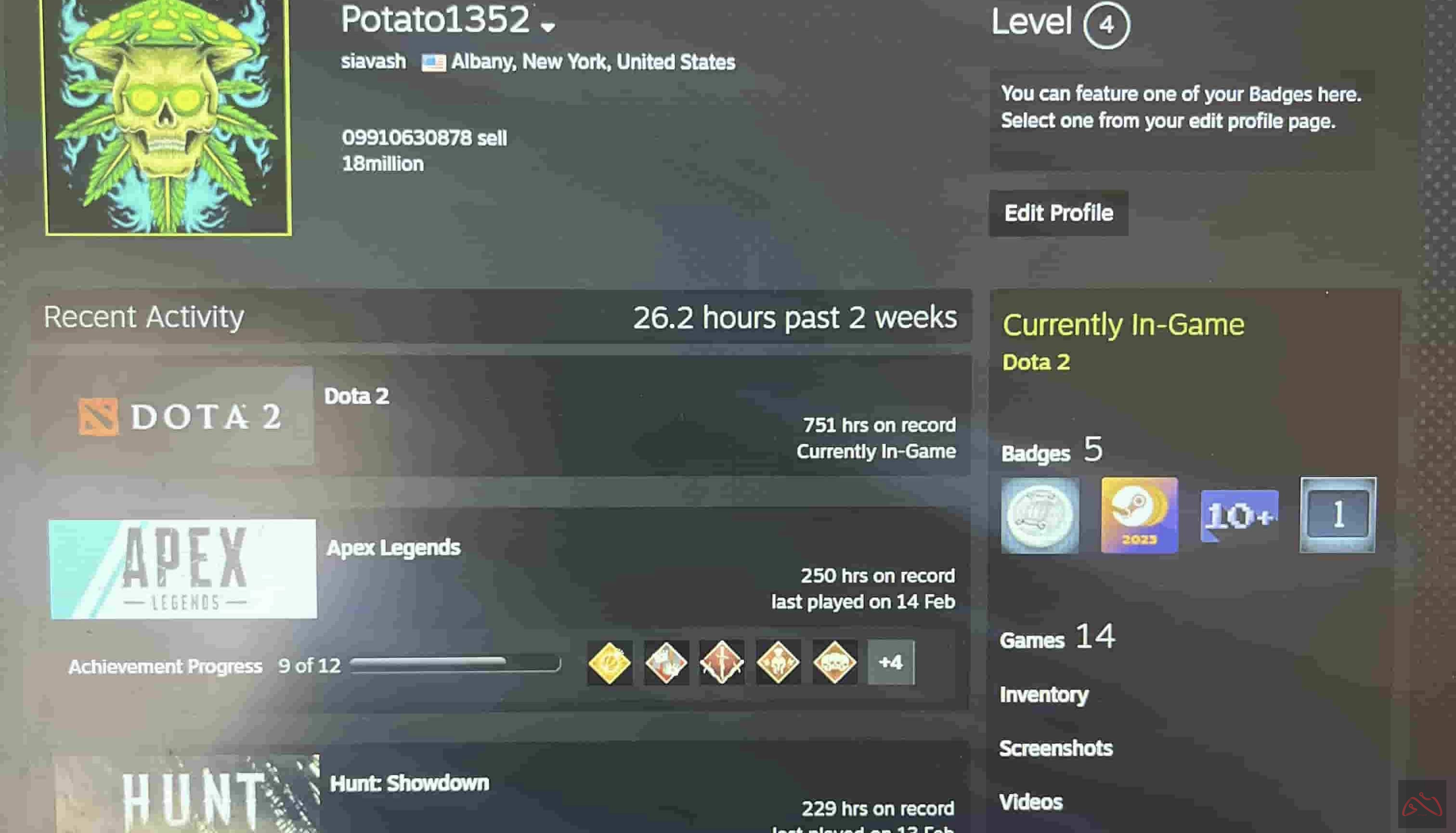 اکانت استیم 300 دلاری