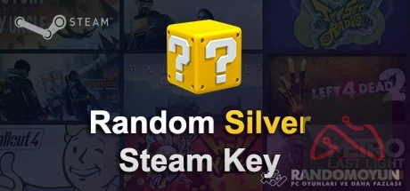 سی دی کی رندوم نقره ای استیم Steam Random Silver Key