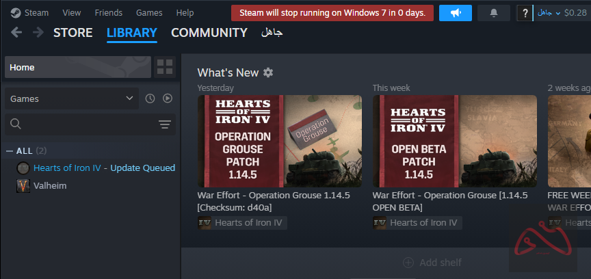 اکانت استیم هرتز اف ایرون 4 و ولهایم