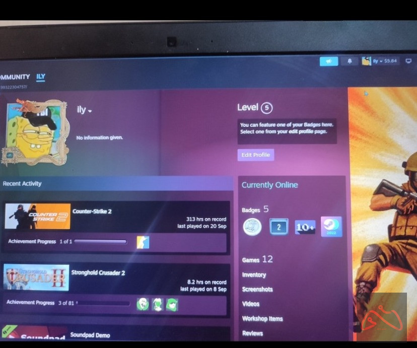 اکانت استیم لول 5