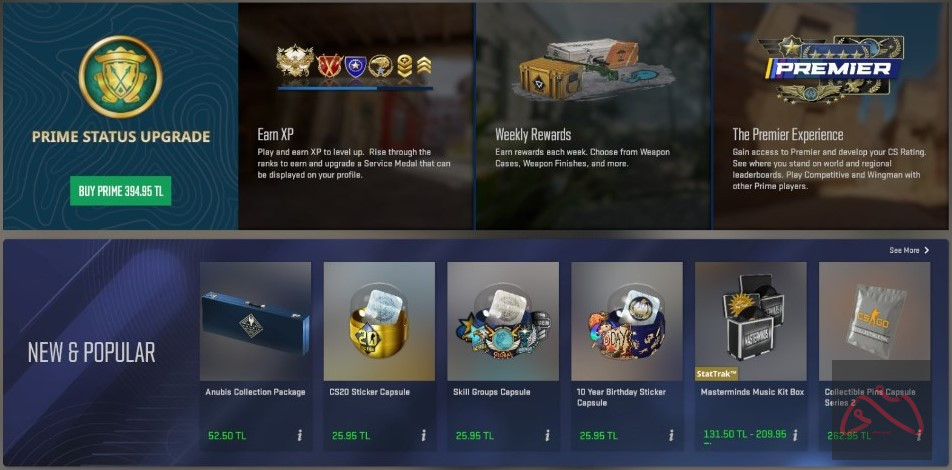 فعالسازی پرایم CS2